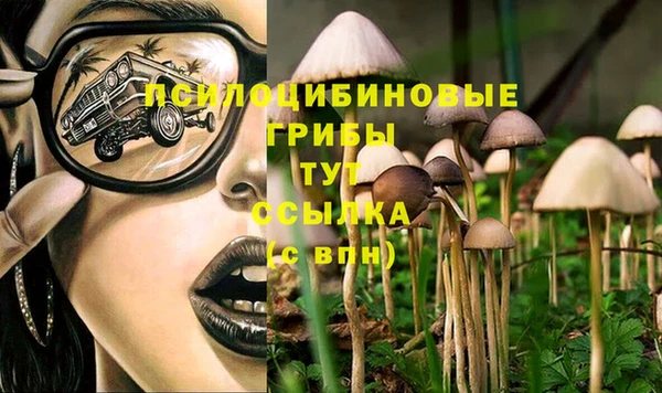 бошки Железногорск-Илимский