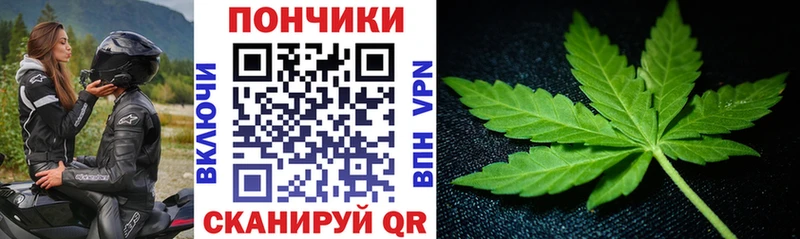 Бошки марихуана Bruce Banner  Кизел 